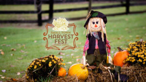harvest fest
