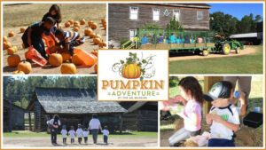 Pumpkin Adventure